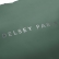 خرید کوله پشتی دلسی مدل توغن سافت رنگ سبز چمدان ایران - delsey paris TURENNE SOFT 00163262013 chamedaniran 4
